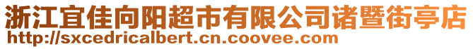 浙江宜佳向阳超市有限公司诸暨街亭店