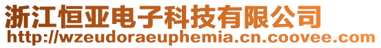 浙江恒亞電子科技有限公司
