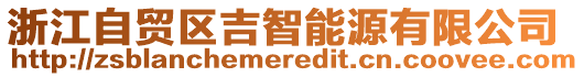 浙江自貿區吉智能源有限公司