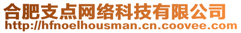 合肥支點網(wǎng)絡(luò)科技有限公司