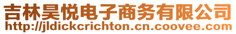 吉林昊悅電子商務有限公司