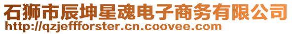 石獅市辰坤星魂電子商務(wù)有限公司