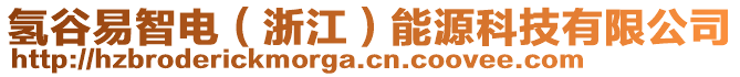 氫谷易智電（浙江）能源科技有限公司