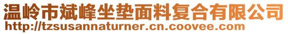 溫嶺市斌峰坐墊面料復合有限公司