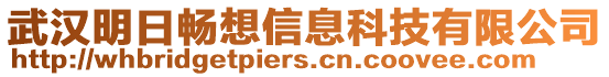 武漢明日暢想信息科技有限公司