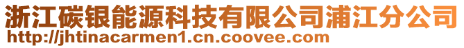 浙江碳銀能源科技有限公司浦江分公司