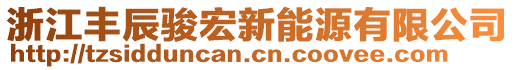 浙江豐辰駿宏新能源有限公司