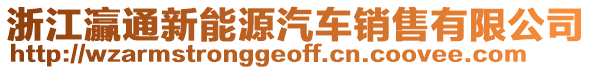 浙江灜通新能源汽車銷售有限公司