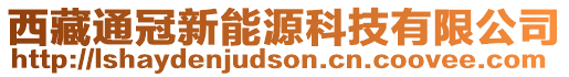 西藏通冠新能源科技有限公司