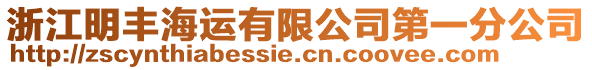 浙江明豐海運(yùn)有限公司第一分公司