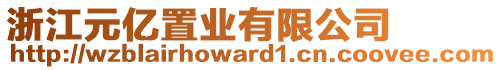 浙江元億置業(yè)有限公司