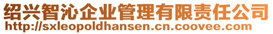 紹興智沁企業(yè)管理有限責(zé)任公司