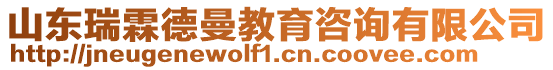 山東瑞霖德曼教育咨詢(xún)有限公司