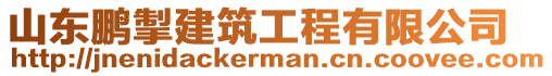 山東鵬掣建筑工程有限公司