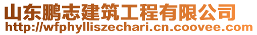 山東鵬志建筑工程有限公司