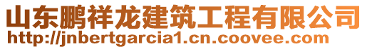 山東鵬祥龍建筑工程有限公司