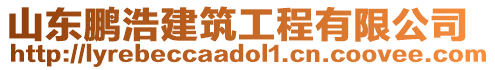 山東鵬浩建筑工程有限公司