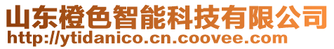 山東橙色智能科技有限公司