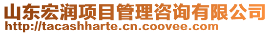 山東宏潤項目管理咨詢有限公司