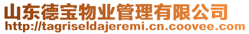 山東德寶物業(yè)管理有限公司