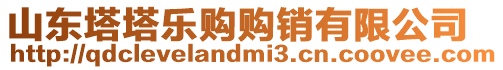 山東塔塔樂(lè)購(gòu)購(gòu)銷(xiāo)有限公司