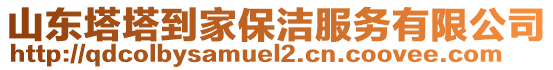 山東塔塔到家保潔服務(wù)有限公司