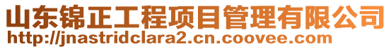 山东锦正工程项目管理有限公司