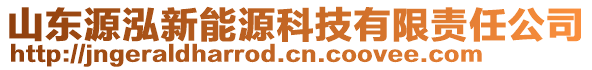 山東源泓新能源科技有限責任公司