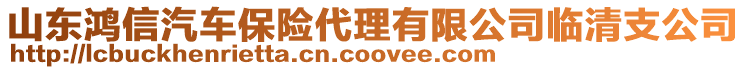 山東鴻信汽車保險代理有限公司臨清支公司