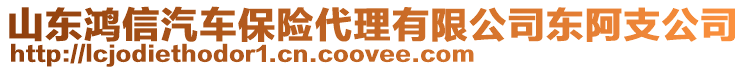 山東鴻信汽車保險代理有限公司東阿支公司