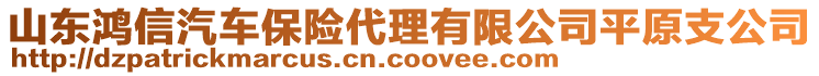 山東鴻信汽車保險代理有限公司平原支公司