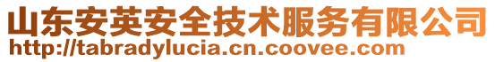 山東安英安全技術(shù)服務(wù)有限公司