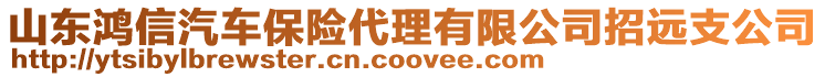 山東鴻信汽車保險(xiǎn)代理有限公司招遠(yuǎn)支公司