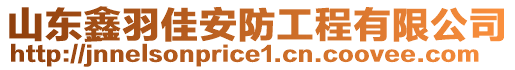 山東鑫羽佳安防工程有限公司