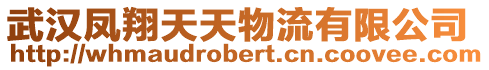 武漢鳳翔天天物流有限公司