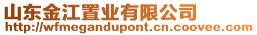 山東金江置業(yè)有限公司