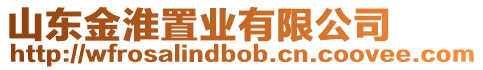 山東金淮置業有限公司