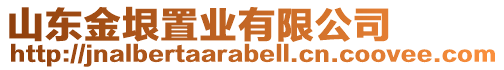 山東金垠置業有限公司