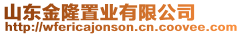 山東金隆置業有限公司