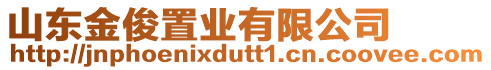 山東金俊置業有限公司