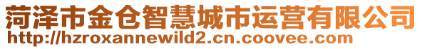 菏澤市金倉(cāng)智慧城市運(yùn)營(yíng)有限公司