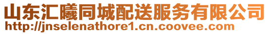 山東匯曦同城配送服務(wù)有限公司