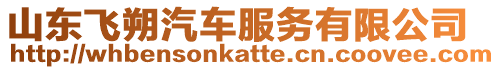 山東飛朔汽車服務(wù)有限公司