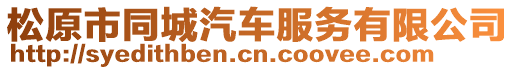 松原市同城汽車服務有限公司