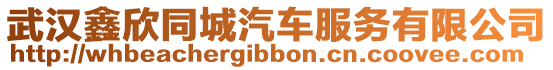 武漢鑫欣同城汽車服務有限公司
