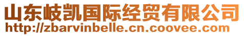 山東岐凱國際經(jīng)貿(mào)有限公司