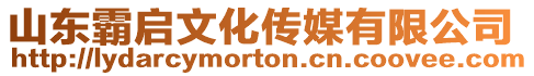 山東霸啟文化傳媒有限公司