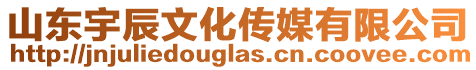 山東宇辰文化傳媒有限公司