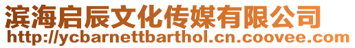 濱海啟辰文化傳媒有限公司