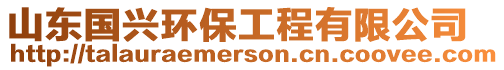 山東國興環保工程有限公司